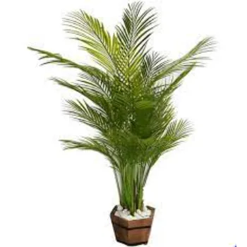 Artificial Plants